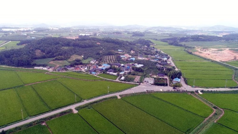 c963cdb360adb383d0ddfa5a89f4003a_1514969446_3917.JPG